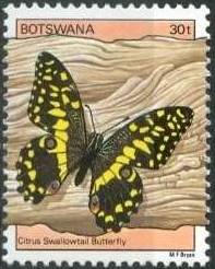 Botswana 1981 Insects e.jpg