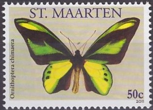 St Maarten 2011 Butterflies a.jpg
