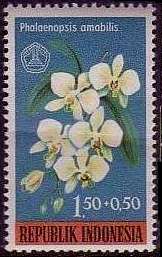Indonesia 1962 Orchids b.jpg