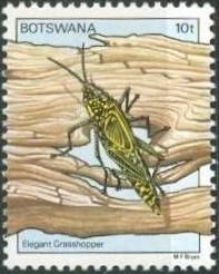 Botswana 1981 Insects c.jpg
