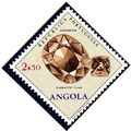 Angola 1970 Fossils and Minerals from Angola e.jpg