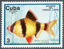 Cuba 1977 Fish in Lenin Park Aquarium 3c.jpg