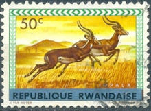 Rwanda 1964 Definitive Issues - Animals - Overprinted 50c.jpg