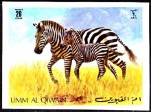 Umm al-Quwain 1971 Animals in the wild c1.jpg