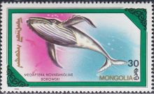 Mongolia 1990 Whales and Dolphins 30.jpg
