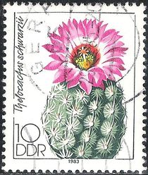 Germany-DDR 1983 Cacti Flowers 10pf.jpg