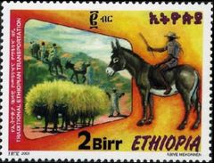 Ethiopia 2001 Traditional Ethiopian Transportation d.jpg