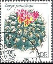 Germany-DDR 1983 Cacti Flowers 35pf.jpg