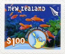 New Zealand 2008 Underwater Reefs f.jpg