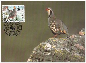 Yugoslavia 2000 Endangered Species - Partridges mc.jpg