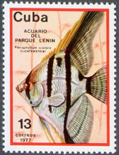 Cuba 1977 Fish in Lenin Park Aquarium 13c.jpg