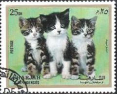Sharjah 1972 Cats - Kittens 25dh.jpg