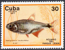 Cuba 1977 Fish in Lenin Park Aquarium 30c.jpg