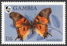 Gambia 1994 Butterflies 5.jpg