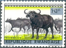 Rwanda 1964 Definitive Issues - Animals - Overprinted 10c.jpg
