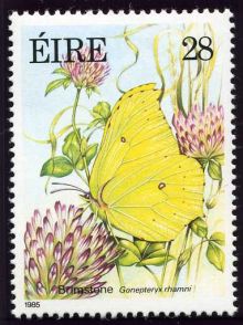Ireland 1985 Butterflies 28p.jpg