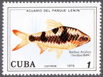 Cuba 1978 Fish in Lenin Park Aquarium (series II) 1c.jpg