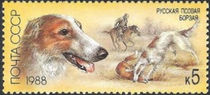 USSR 1988 Hunting Dogs 5k.jpg
