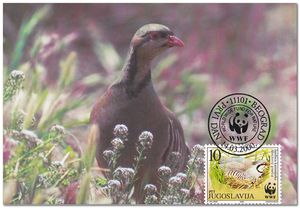 Yugoslavia 2000 Endangered Species - Partridges 2mc.jpg