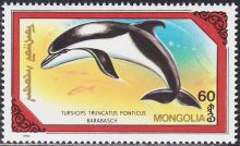 Mongolia 1990 Whales and Dolphins 60.jpg