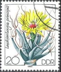 Germany-DDR 1983 Cacti Flowers 20pf.jpg