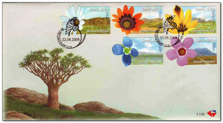 South Africa 2008 Flowers of Namaqualand fdc.jpg