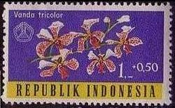 Indonesia 1962 Orchids a.jpg