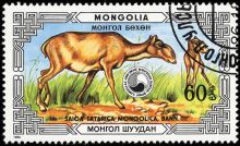 Mongolia 1986 Protected Animals - Saiga a60.jpg