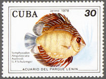 Cuba 1978 Fish in Lenin Park Aquarium (series II) 30c.jpg