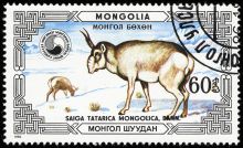 Mongolia 1986 Protected Animals - Saiga d60.jpg