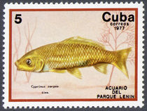 Cuba 1977 Fish in Lenin Park Aquarium 5c.jpg