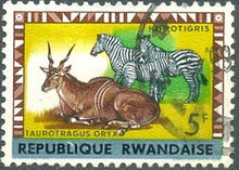 Rwanda 1964 Definitive Issues - Animals - Overprinted 5F.jpg