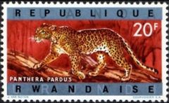 Rwanda 1964 Definitive Issues - Animals - Overprinted 20F.jpg