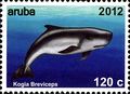 Aruba 2012 Whales b.jpg