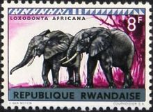 Rwanda 1964 Definitive Issues - Animals - Overprinted 8F.jpg