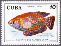 Cuba 1978 Fish in Lenin Park Aquarium (series II) 10c.jpg