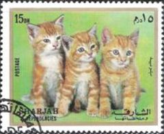 Sharjah 1972 Cats - Kittens 15dh.jpg