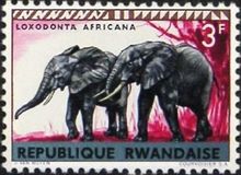 Rwanda 1964 Definitive Issues - Animals - Overprinted 3F.jpg