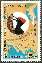 Korea (North) 1978 Birds - Tristram's Woodpecker 5ch.jpg