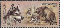 USSR 1988 Hunting Dogs 35k.jpg
