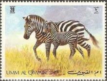 Umm al-Quwain 1971 Animals in the wild c.jpg