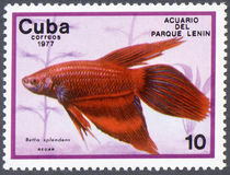Cuba 1977 Fish in Lenin Park Aquarium 10c.jpg