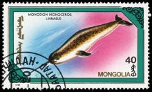 Mongolia 1990 Whales and Dolphins 40.jpg