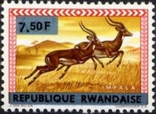 Rwanda 1964 Definitive Issues - Animals - Overprinted 7F50.jpg