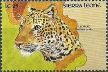 Sierra Leone 1990 Local Wildlife i.jpg