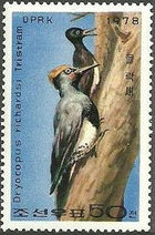 Korea (North) 1978 Birds - Tristram's Woodpecker 50ch.jpg