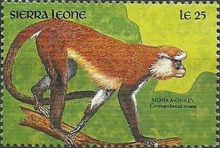 Sierra Leone 1990 Local Wildlife k.jpg