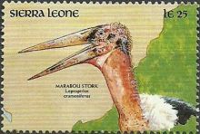 Sierra Leone 1990 Local Wildlife e.jpg