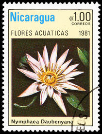 Nicaragua 1981 Aquatic Flowers 1cor.jpg