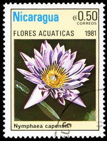 Nicaragua 1981 Aquatic Flowers 0,50cor.jpg